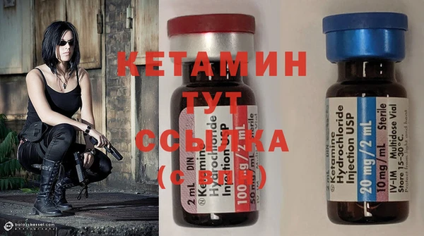 соль ск Тайга