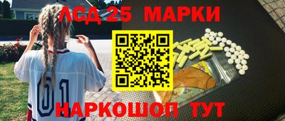 крисы Аргун