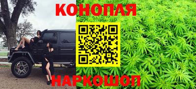 крисы Аргун