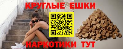 крисы Аргун