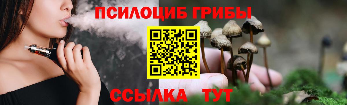 Галлюциногенные грибы GOLDEN TEACHER  Псилоцибиновые грибы Psilocybe  Верхний Уфалей  где можно купить наркотик  Вход с VPN 